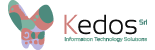 Software Developer