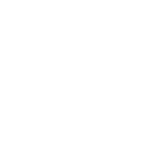 ERP System Developer