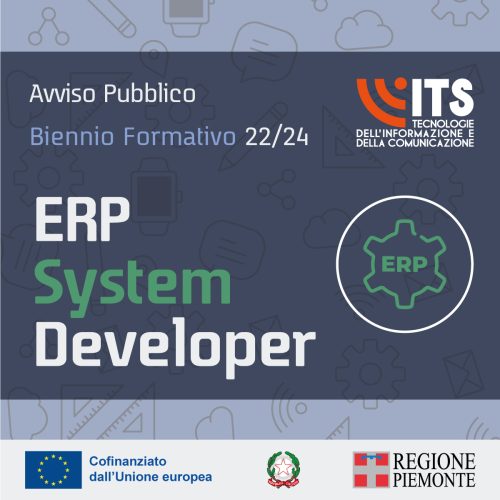 ERP System Developer 2022/2024