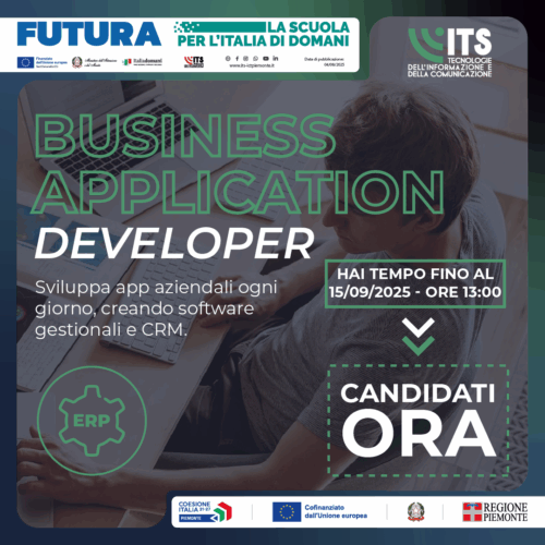 Business Application Developer