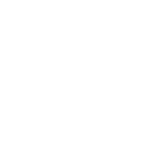 GenAI Developer