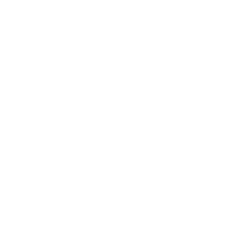 SOC Analyst