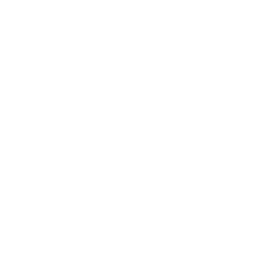 Web Solutions Architect