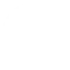 ERP System Developer